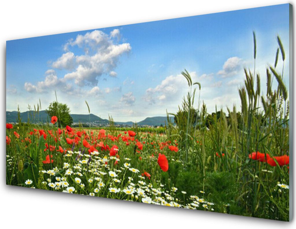 Acrylglasbilder 100x50 Wandbild Druck Wiese Blumen Natur
