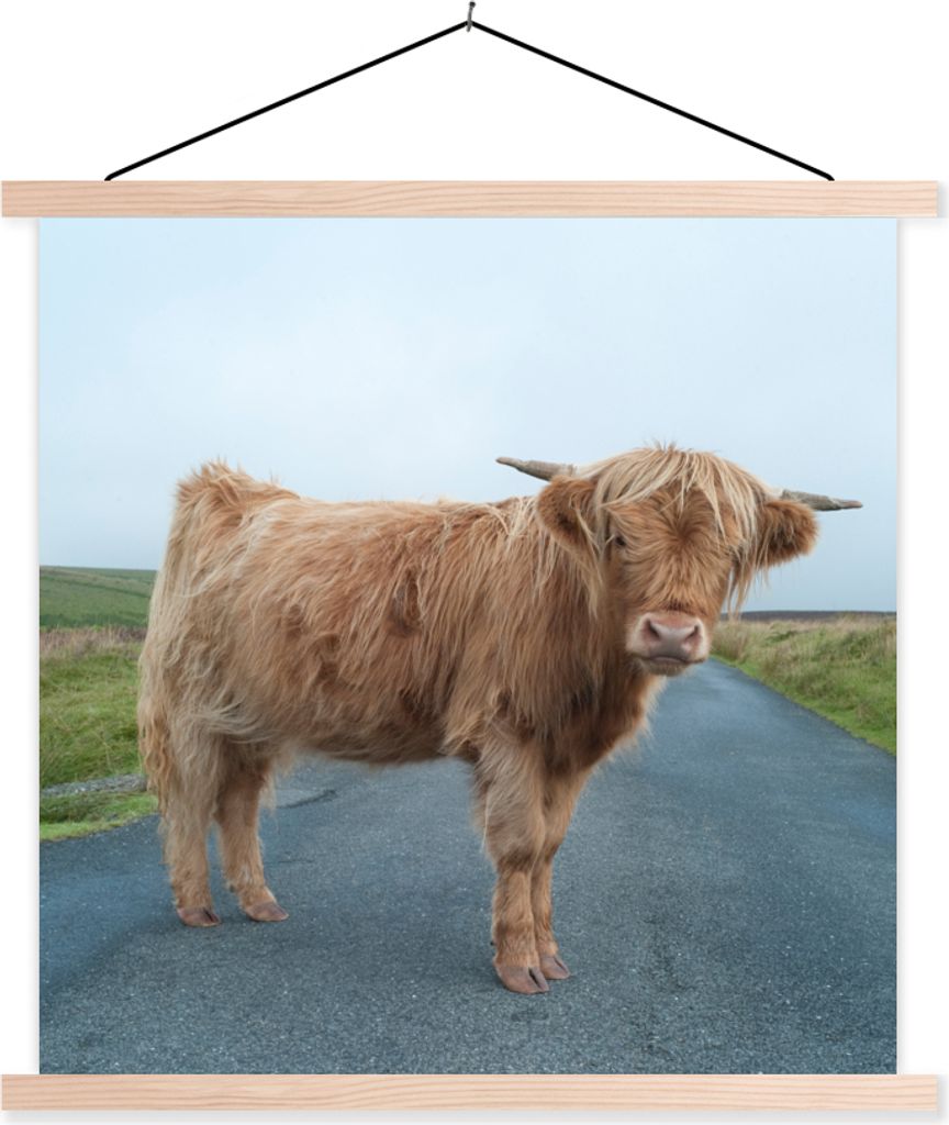 MuchoWow Textilposter Scottish Hochlandrind - Straße - Gras 120x120 cm mit holzfarbenen Rahmen - Textil-Poster