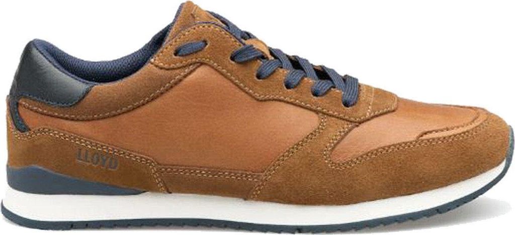 Lloyd Shoes GmbH (445) SWIFT, CIGAR 6 6 41 1/3