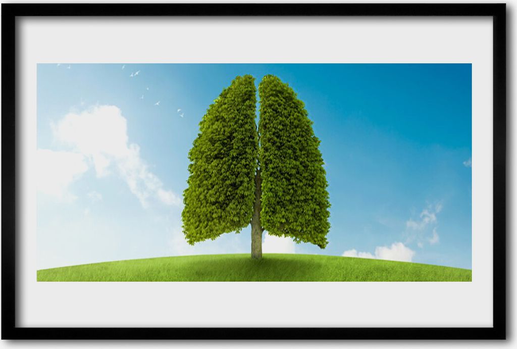 Bild 60x40 MDF-Rahmen Wandkunst Gras Natur Baum Lungs