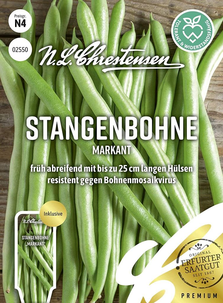 Stangenbohne Markant | Stangenbohnensamen von N.L. Chrestensen