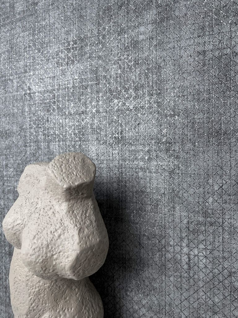 NEWROOM Tapete Anthrazit Vliestapete Leicht Glänzend - Unipapete Uni Silber Einfarbig Struktur Klassisch