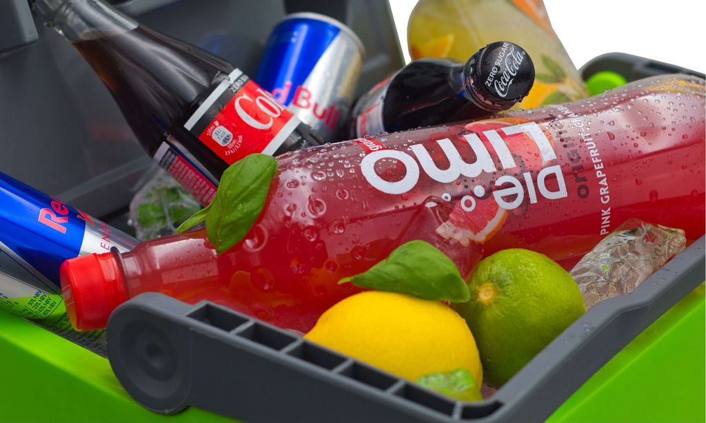 Pojemnik chłodzący Steinborg 30 litrów | Pojemnik Zdjęcie produktu 5