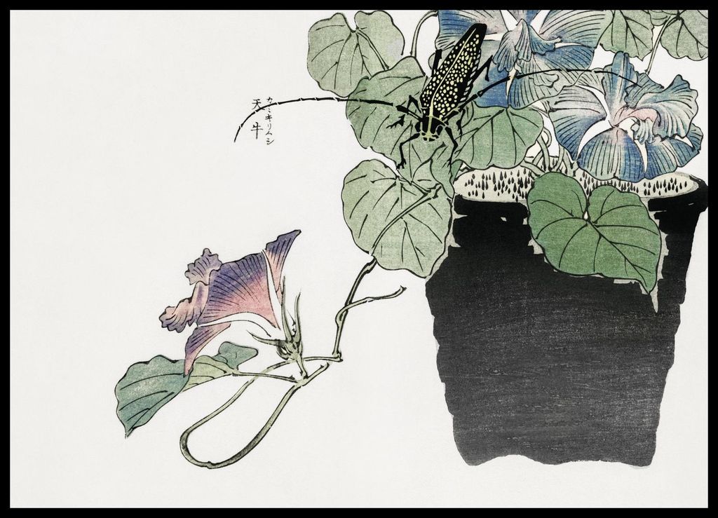 Plakat 70x50cm Käfer Schneiden Papier Morimoto Toko Japanisch Vintage für das Wohnzimmer