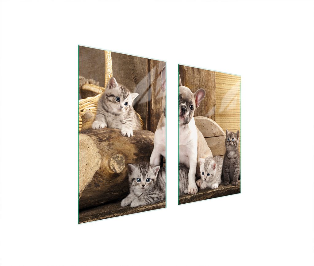 Glasschutzplatte Für Herd 75X52 Hund