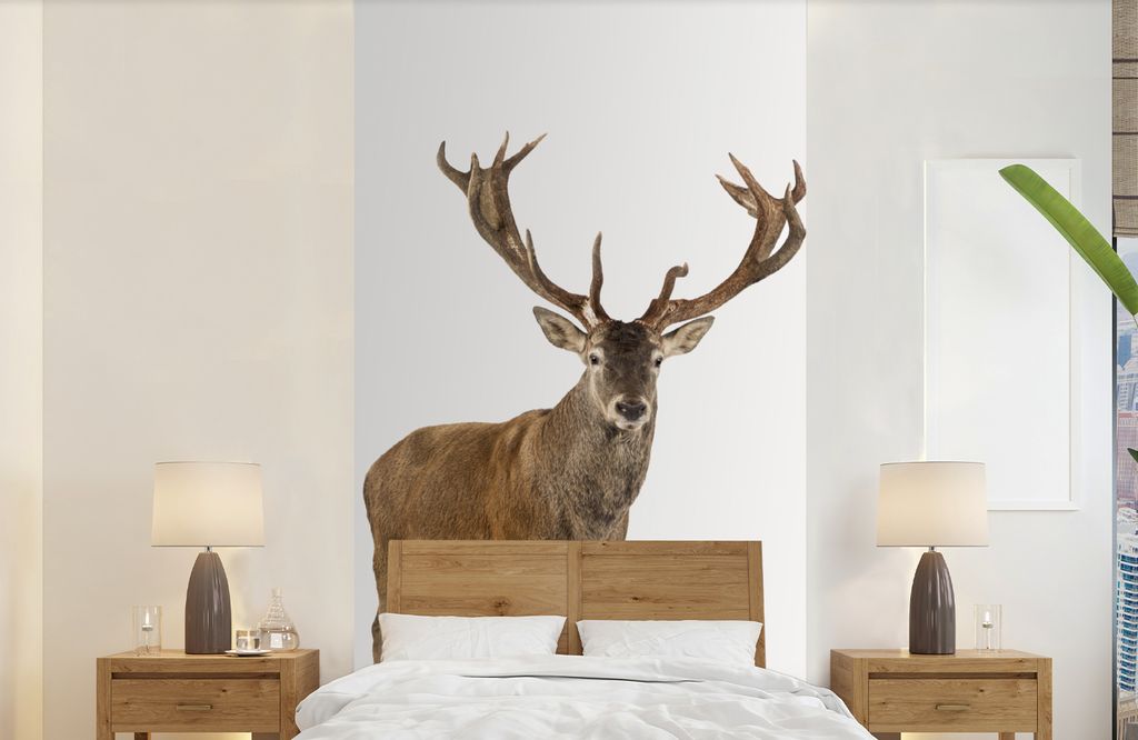 MuchoWow Fototapete für Wohnzimmer oder Schlafzimmer Wandtapete Vinyl Motivtapete Hirsche - Tiere - Geweih - Kinder - Mädchen - Jungen - 120x24...