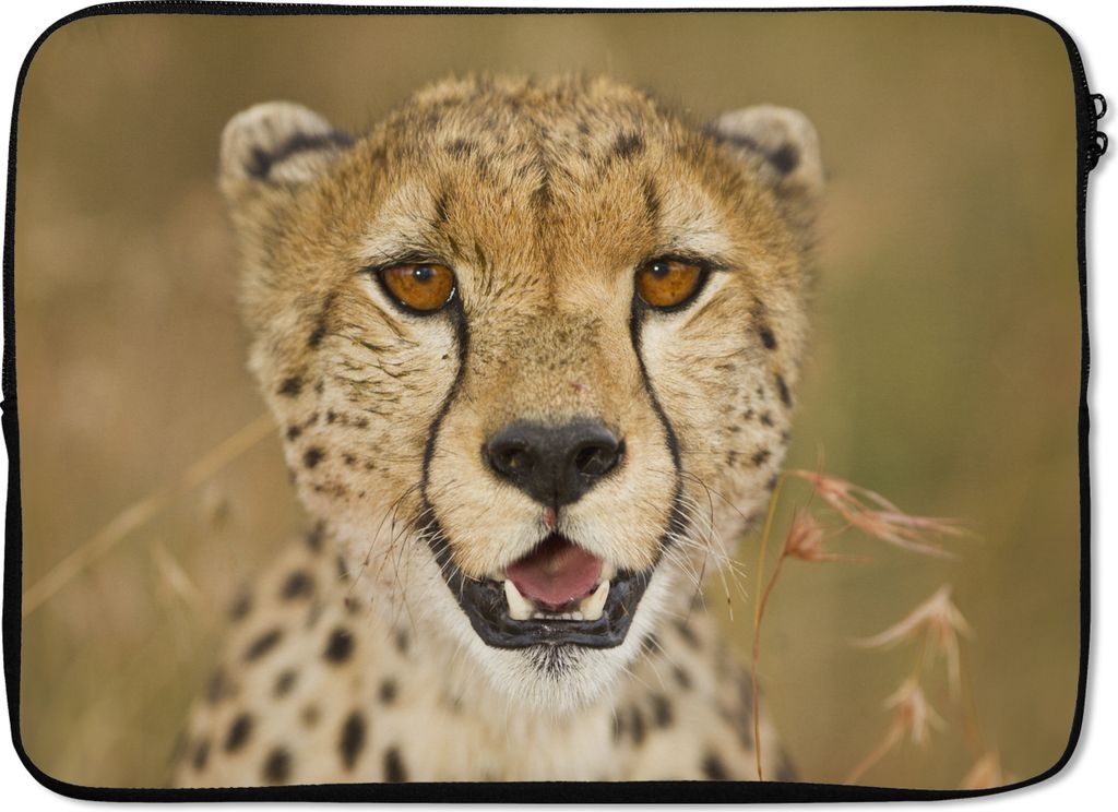 MuchoWow Laptop Hülle 13 Zoll Leopard - Kopf - Pflanzen Laptoptasche - Laptophülle - Sleeve - Rundumschutz