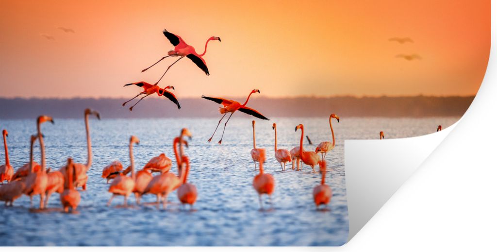 MuchoWow Wandtattoo Wandsticker Wandaufkleber Vogel - Flamingo - Wasser - Sonnenuntergang - Rosa 120x60 cm Selbstklebend und Repositionierbar - S...