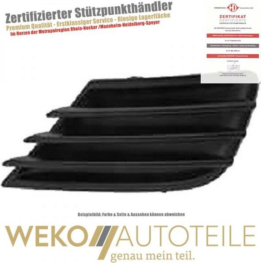 Blende Nebelscheinwerfer vorne links DIEDERICHS 4226441 für PEUGEOT