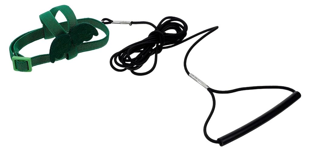 Papageien Flugtrainingsleine mit Flügeln Größe Grünes Vogelgeschirr aus Nylon für Outdoor Training und Kontrolle