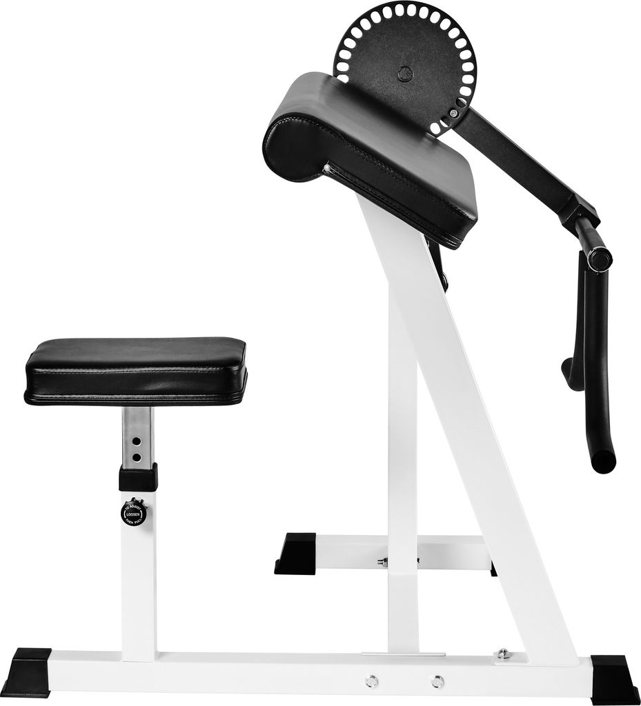Bizeps/Trizeps Curl Maschine sitzend Produktbild 5
