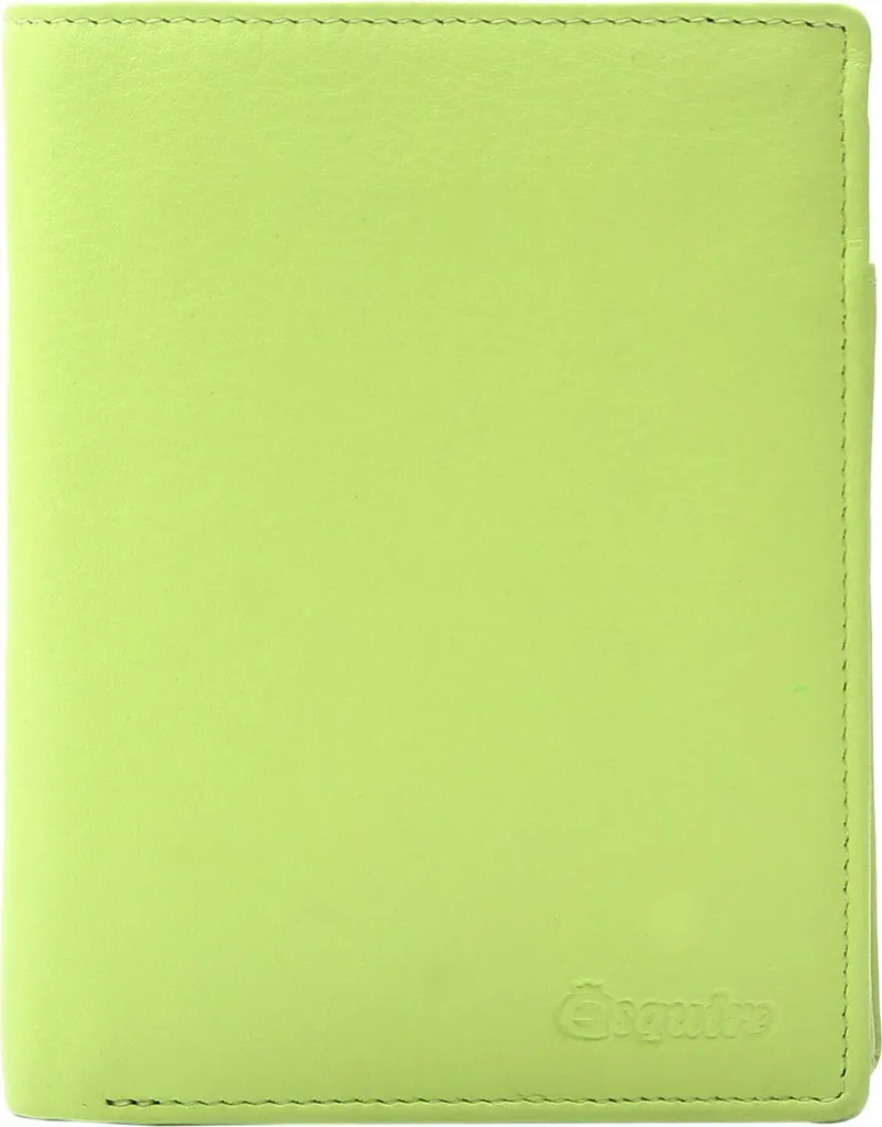 Portefeuille Femme Vert Clair pour Sac à Main Esquire Viktoria Wallet