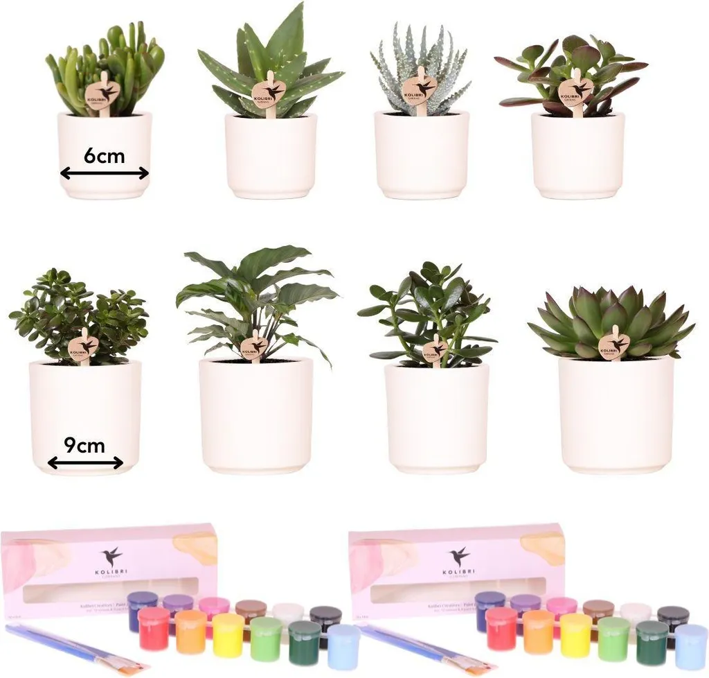 Kit Peinture Pots de Fleurs DIY - Solution Complète contre l'Ennui Créatif