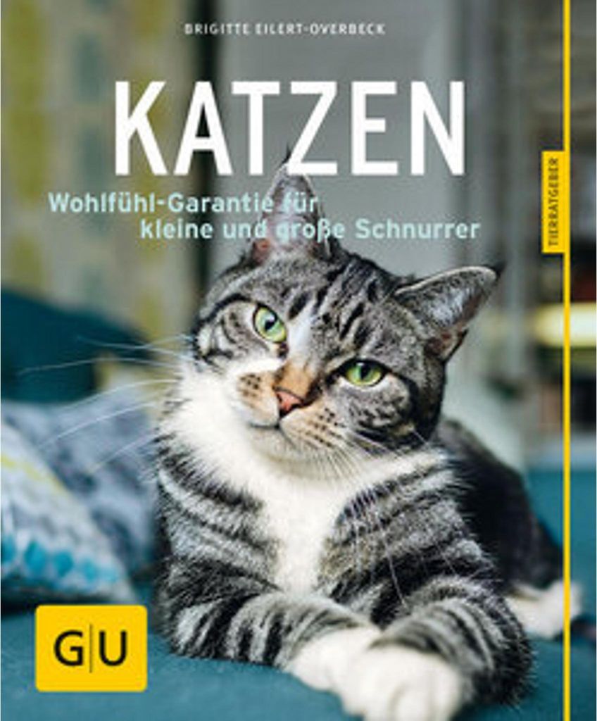 Katzen, glücklich & gesund