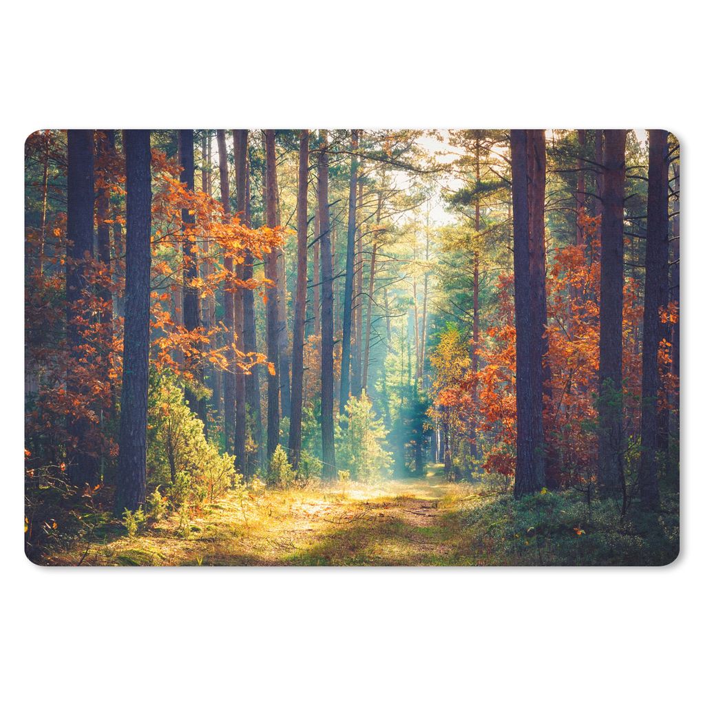 MuchoWow Mauspad Mousepad Wald - Sonne - Natur - Herbst 27x18 cm - Mousepads - Maus Mat - Pad - Mausunterlage - Büroartikel - Desk Matten
