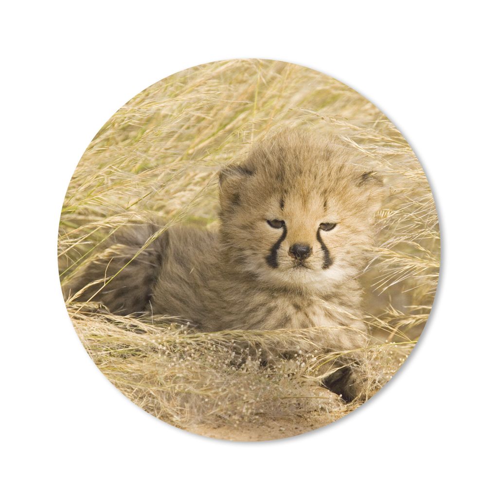 MuchoWow Mauspad Mousepad Gepard - Jung - Gras 20x20 cm - Mousepads - Maus Mat - Pad - Mausunterlage - Schreibtischmatte