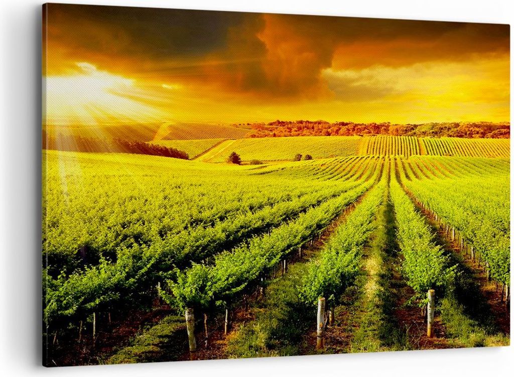 Bild auf Leinwand - Leinwandbild - Land Weingut Pflanzung - 100x70cm - Wand Bild - Wanddeko - Leinwanddruck - Bilder - Kunstdruck - Wanddekoration ...