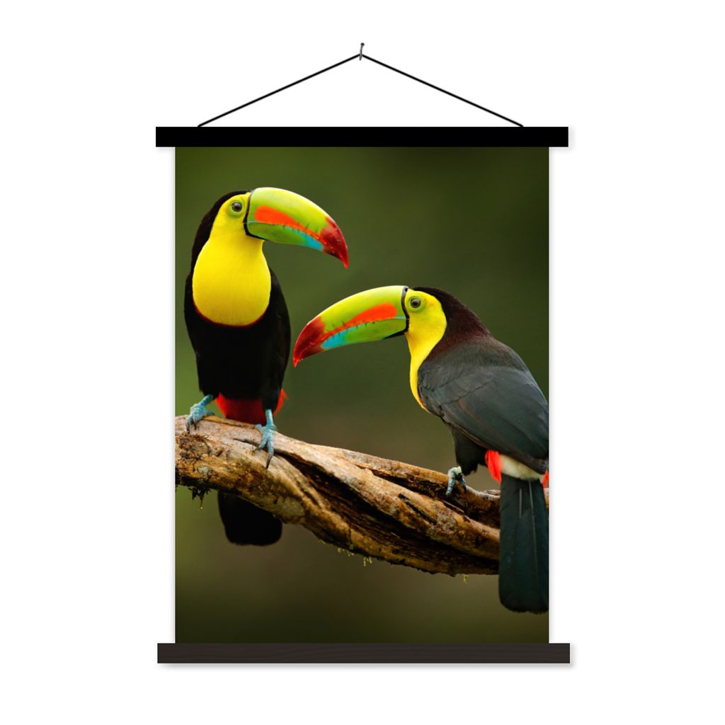MuchoWow Textilposter Vögel - Tukan - Zweig - Tiere - Regenbogen 40x53 cm mit schwarzem Rahmen - Abbildung