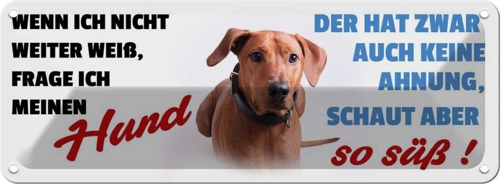 vianmo Blechschild 10x27 cm Hund schaut aber so süß Tier Haustier