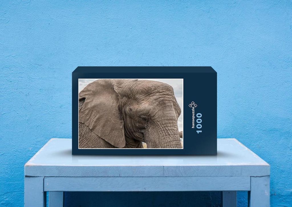 hansepuzzle 29451 - Elefant Puzzle, 1000 Teile, Tierwelt, 60,0 x 46,0cm mit hochwertiger Aufbewahrung, Kartonbox und wiederverschließbarem Beutel
