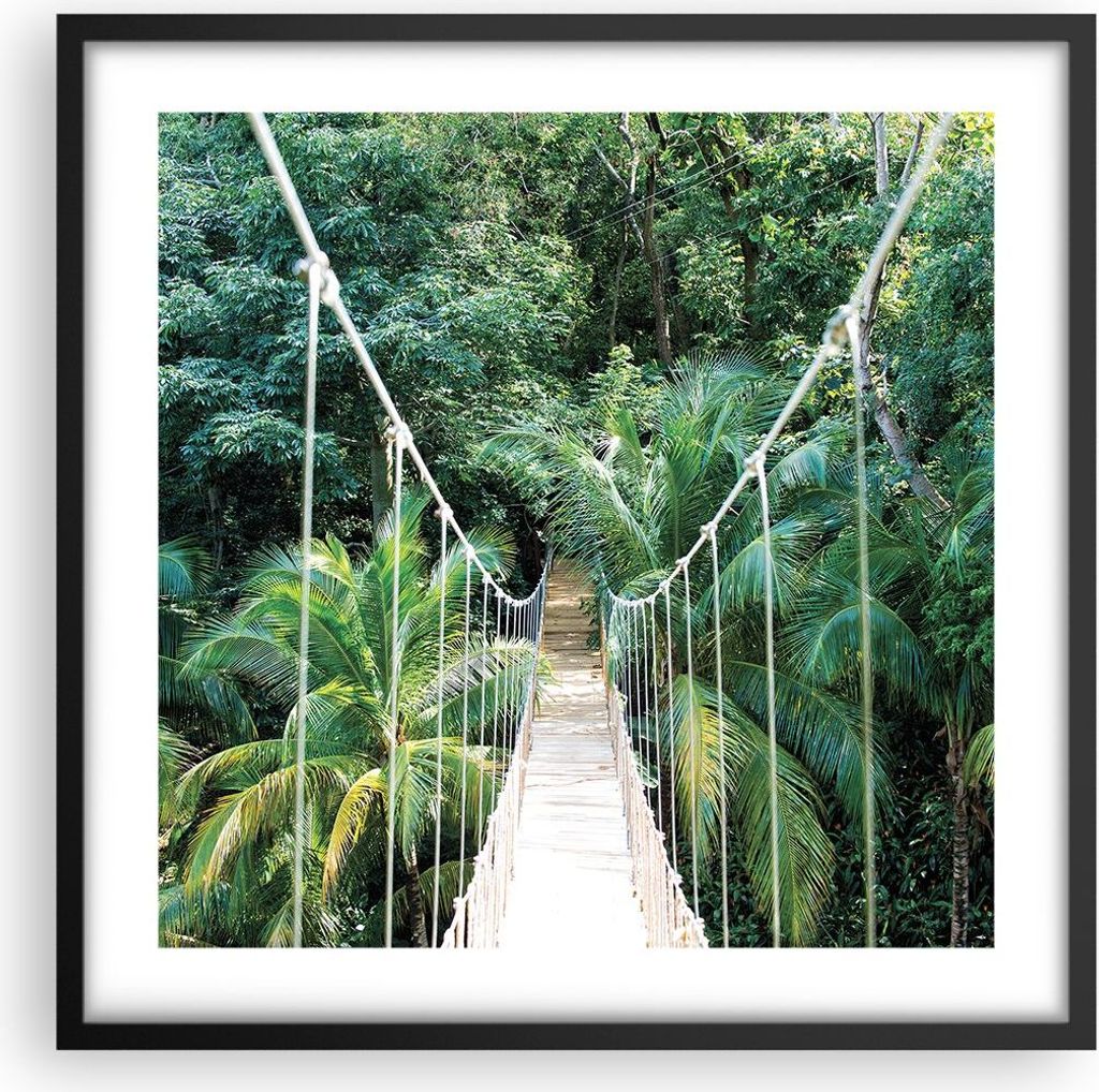 Gerahmtes Poster - Schwarzer Rahmen - Tropen Dschungel Brücke - 50x50 cm - Wand Bild - Wanddeko - Wandbilder - Kunstposter - Wandposter - Bilderra...