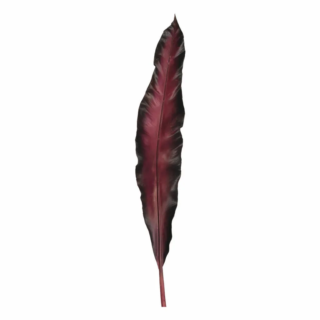 Plat Décoratif en Forme de Feuille Leonardo Fiore L038522 Design
