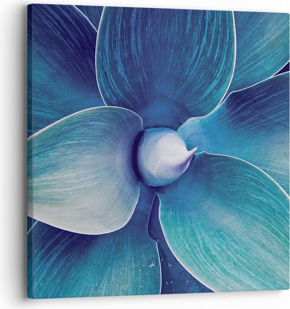 Bild auf Leinwand - Leinwandbild - Einteilig - Agave Blau Blume - 30x30cm - Wand Bild - Wanddeko - Wandbilder - Leinwanddruck - Bilder - Wanddekora...