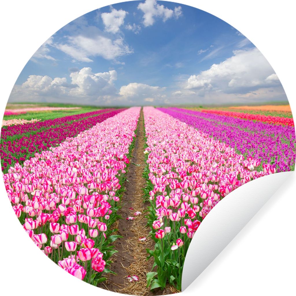 MuchoWow Runde Wandtattoo - Wandsticker Tapete Aufkleber Tulpen - Sonne - Frühling Ø 30 cm Selbstklebend und Repositionierbar - Wandaufkleber -...