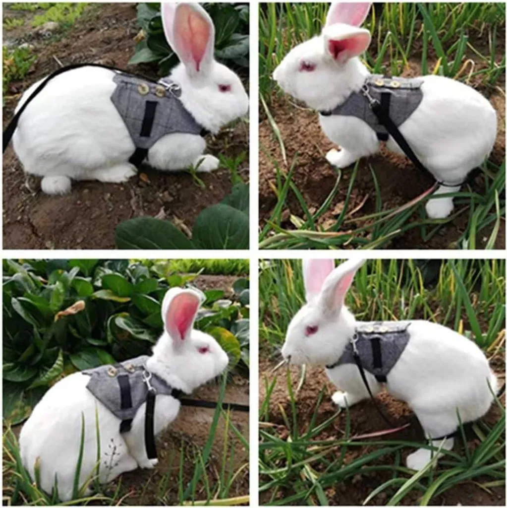 Harnais Lapin Ajustable à Boutons Décoratifs - Lin Gris Rayé Taille M