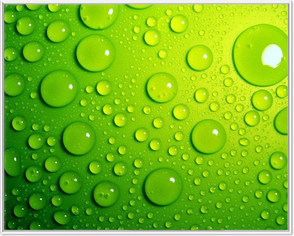 Wallario Wandbild Wassertropfen auf Grün, Größe: 40,30 x 50,30 cm, Poster mit weißem Aluminiumrahmen