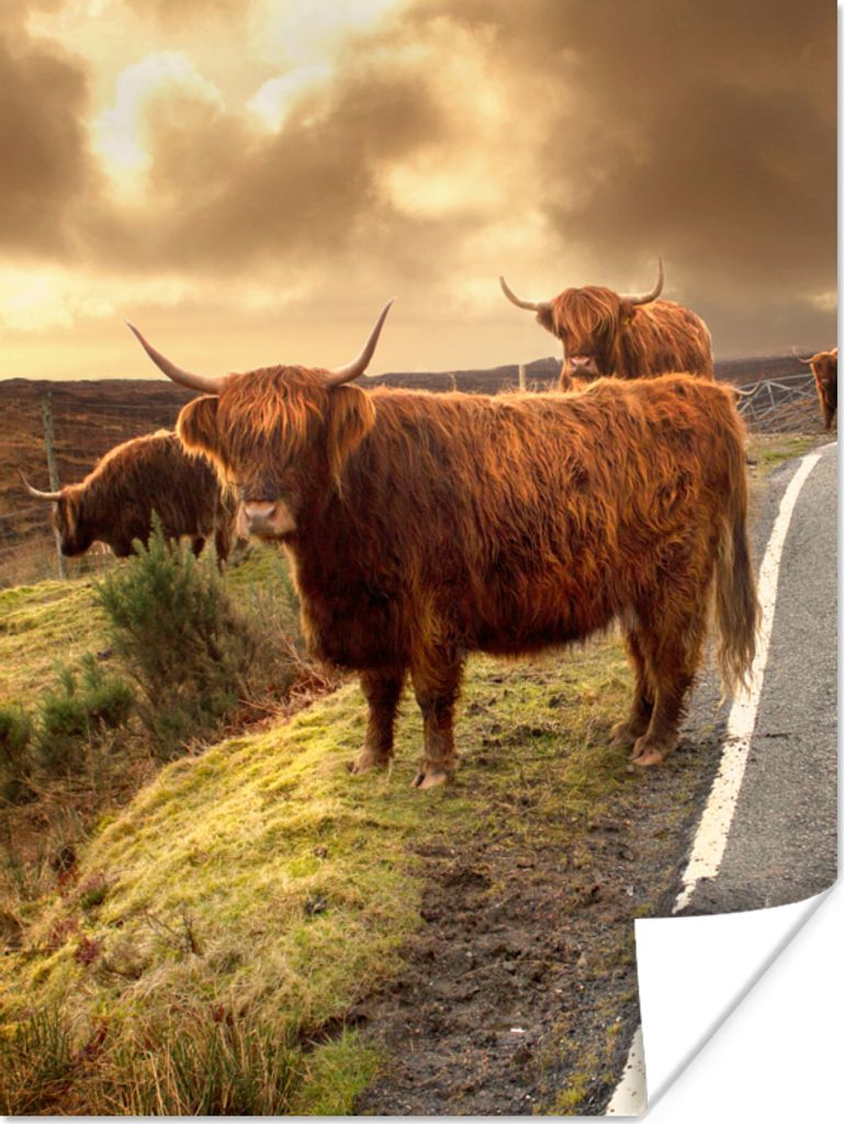 MuchoWow Poster Schottische Highlanders - Himmel - Straße 60x80 cm - Schlafzimmer Dekoration