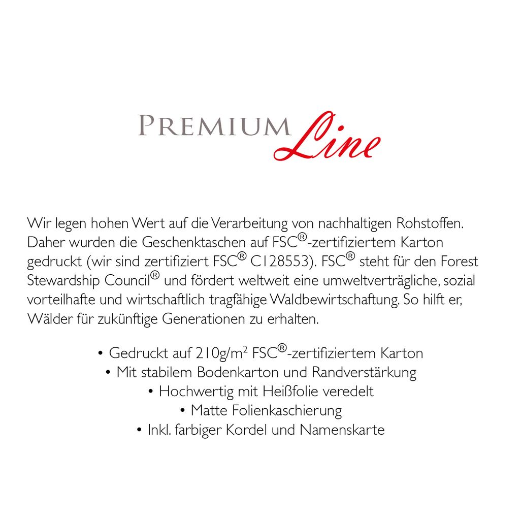 PremiumLine Geschenktaschen Weihnachten 6 Stück XXL Produktbild 5