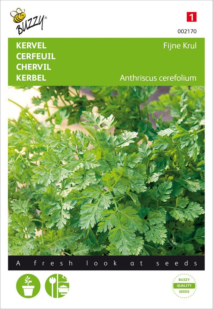Kerbel Krauser | Kerbelsamen von Buzzy Seeds