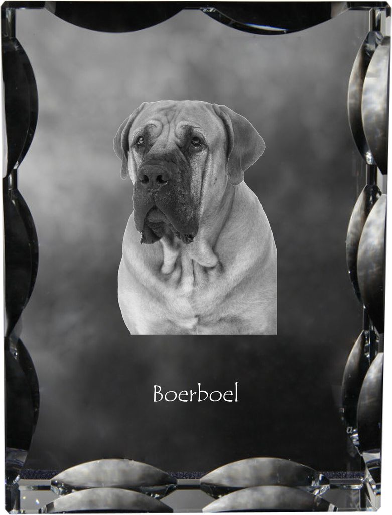 Boerboel - Kristall mit einem Hundebild, Glasstatuette mit einem Bild, einzigartiger Bilderrahmen der Marke Art-Dog
