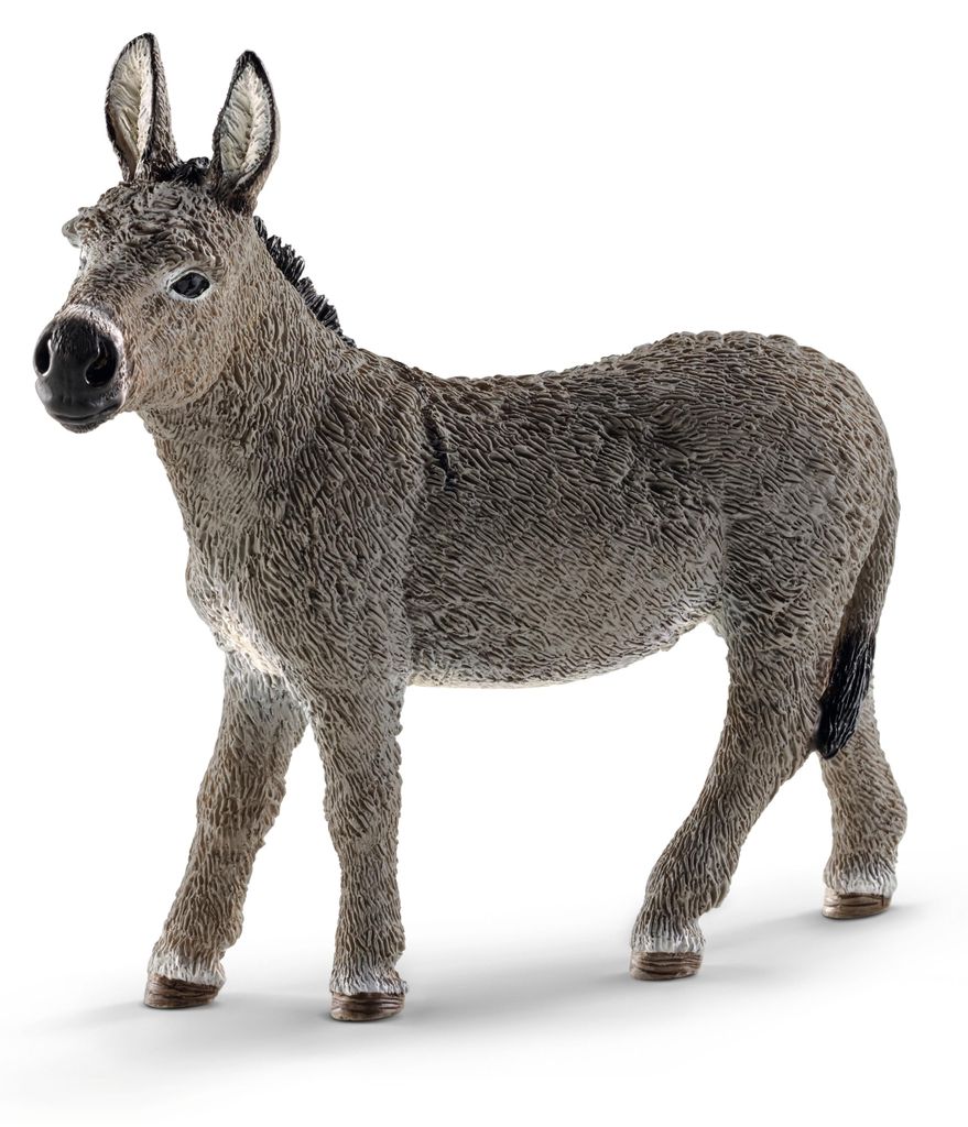 Asino Africano in Miniatura Schleich 13772 Immagine del prodotto 