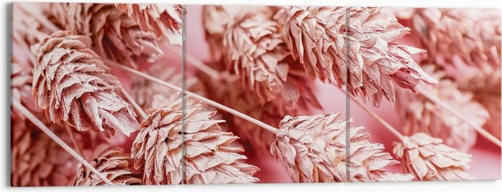 Bild auf Leinwand - Leinwandbild - 3 Teile - Klinge Gras getrocknet - 150x50cm - Wand Bild - Wanddeko - Wandbilder - Leinwanddruck - Bilder - Wandd...