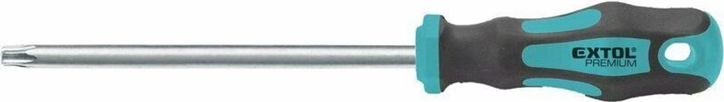 Šroubovák TORX, T15x100mm, CrV