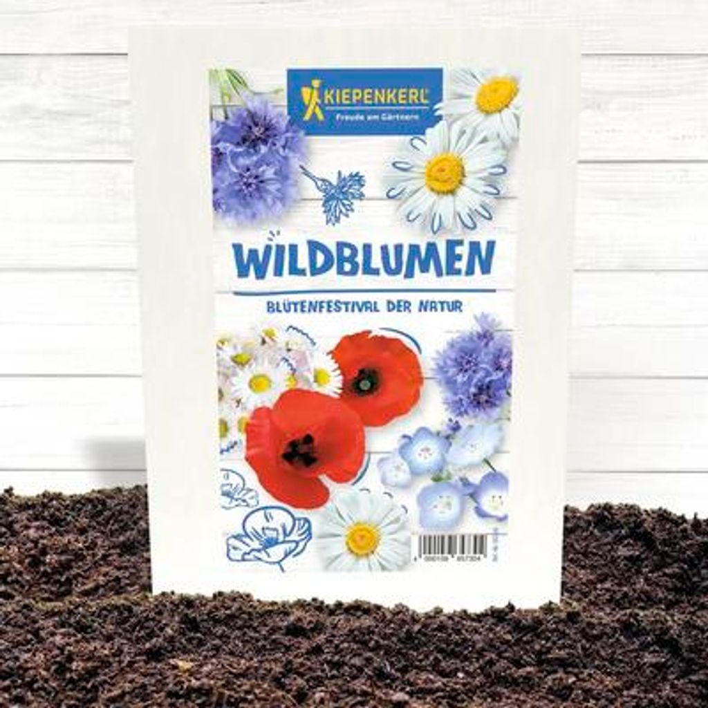 Blumensamen-Set Kiepenkerl 'Bunte Wildblumen', 5 Packungen Kornblume, Klatschmohn, Wiesenmargerite, Liebeshainblume, Gän