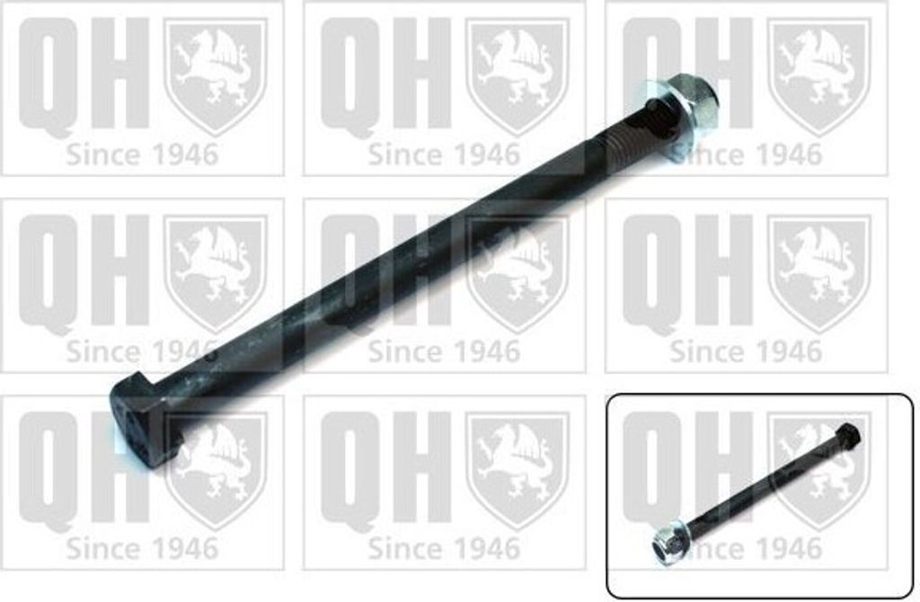 QUINTON HAZELL Querlenker-Schrauben QSK229S Hinten für FIAT PUNTO (176) 200mm M14x1,5mm