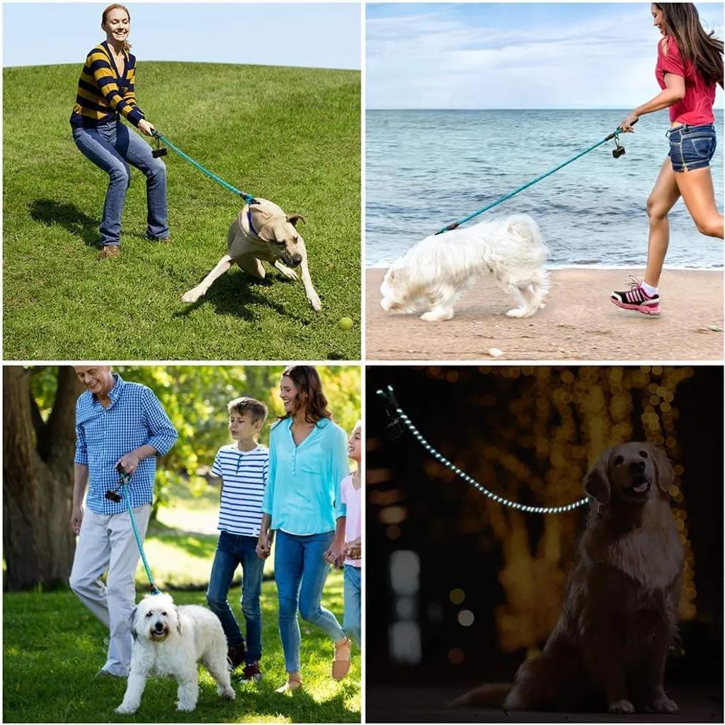 Laisse anti-tractions 5m bleu pour chien puissant poignée rembourrée