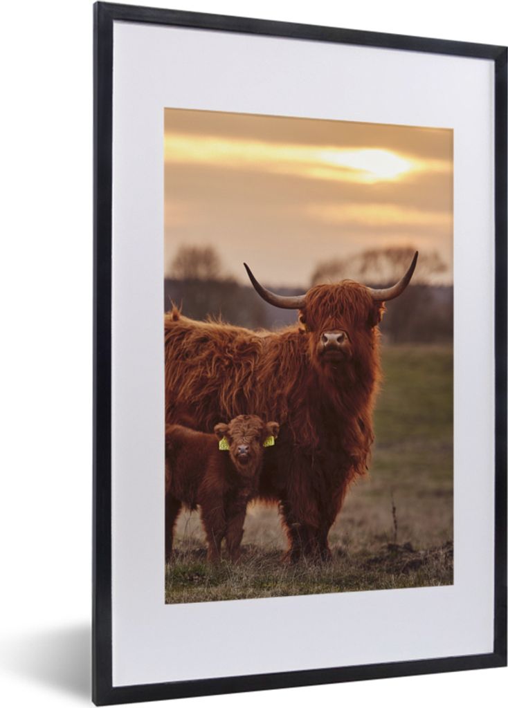 MuchoWow Gerahmtes Poster Schottische Highlander - Tiere - Landschaft - Sonnenuntergang - Kuh 40x60 cm - Poster mit Schwarzem Bilderrahmen Wandpo...