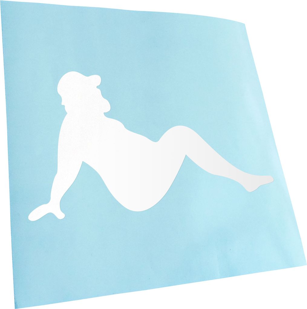 Kiwistar - Autoaufkleber - weiß - 30 x 17 cm - Körperkult Fett - Heckscheibenaufkleber - Aufkleber für Auto Kfz Fahrrad, LKW, Truck Mofa