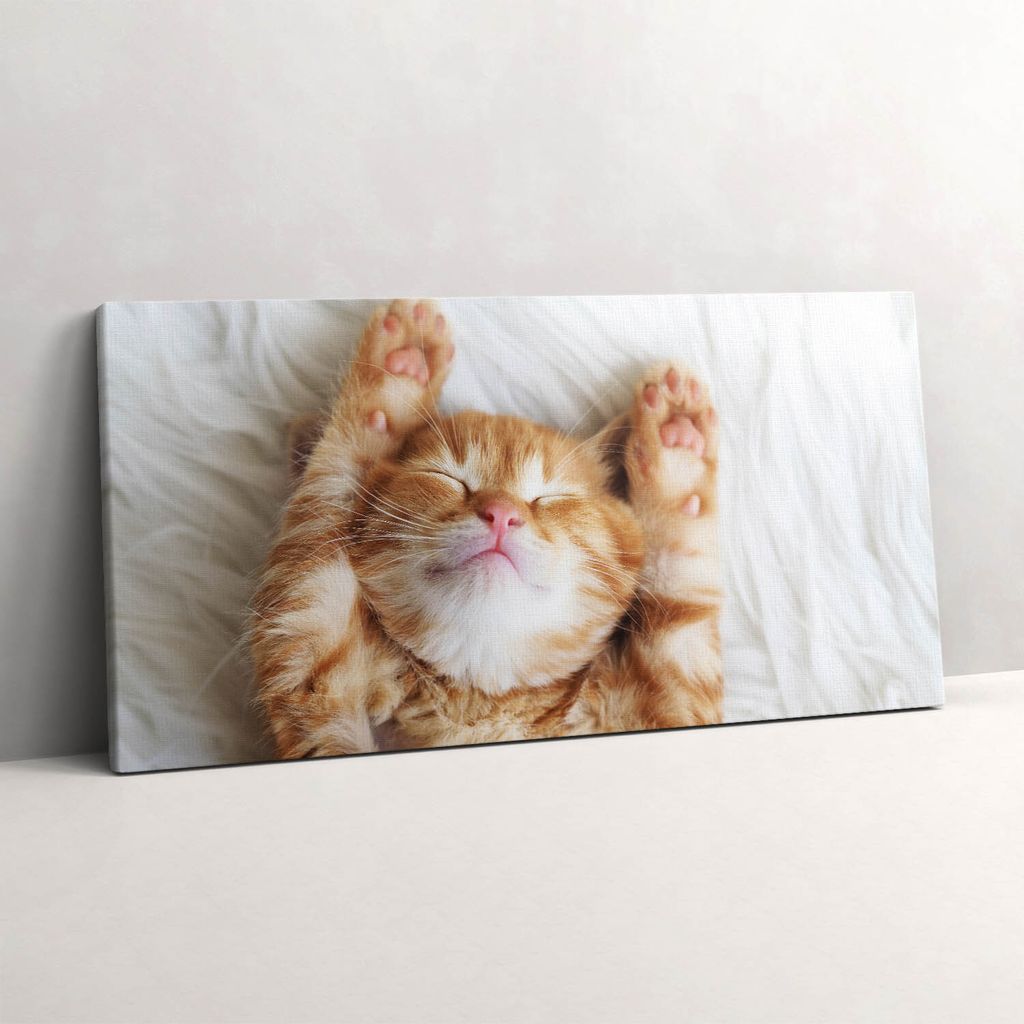 Kleines schlafendes Kätzchen – Leinwandbild Wandbild – 120x60 cm – Leinwandbilder – Wandbilder – Schlafzimmer – Flur