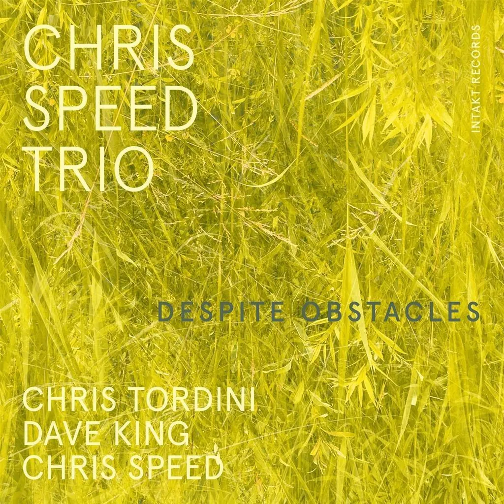 Chris Speed Malgré les obstacles : CD Jazz aux Compositions Originales
