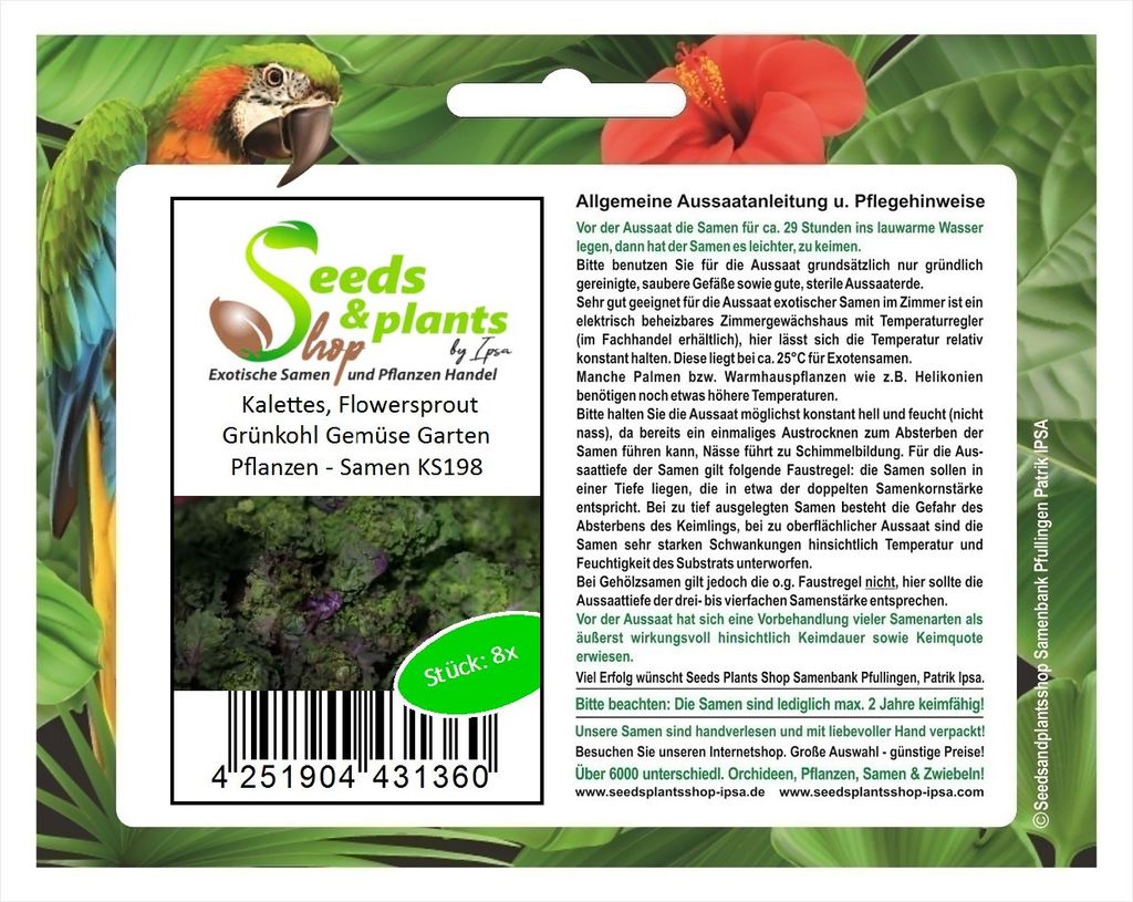 8x Kalettes, Flowersprout Grünkohl Gemüse Garten Pflanzen - Samen KS198