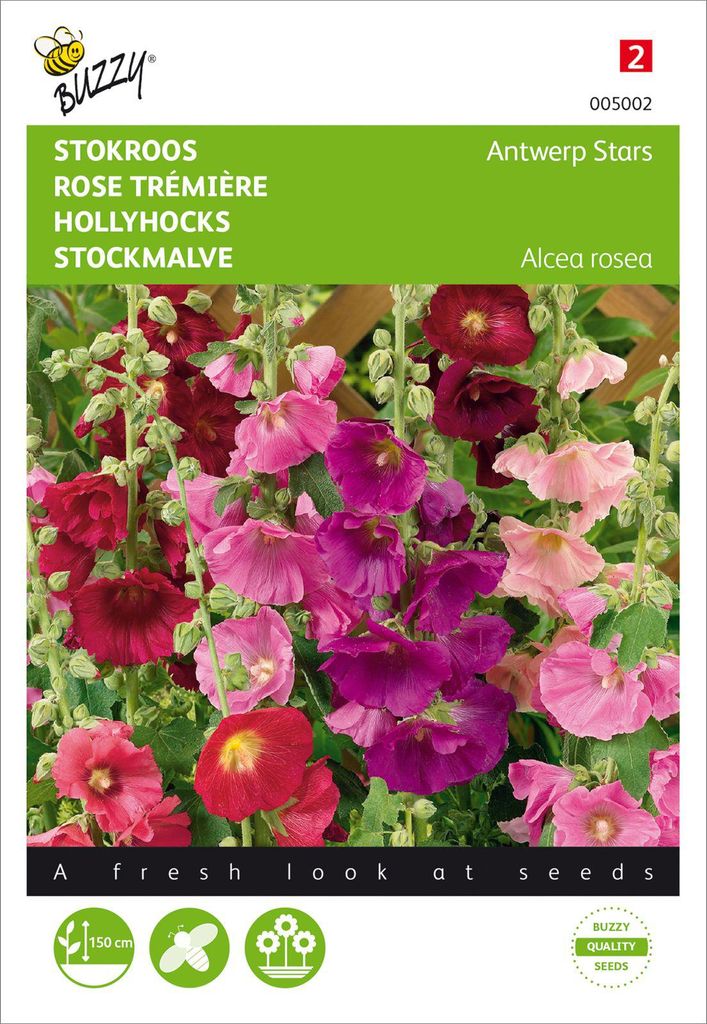 Stockrose Stars Mischung | Stockrosensamen von Buzzy Seeds Produktbild 