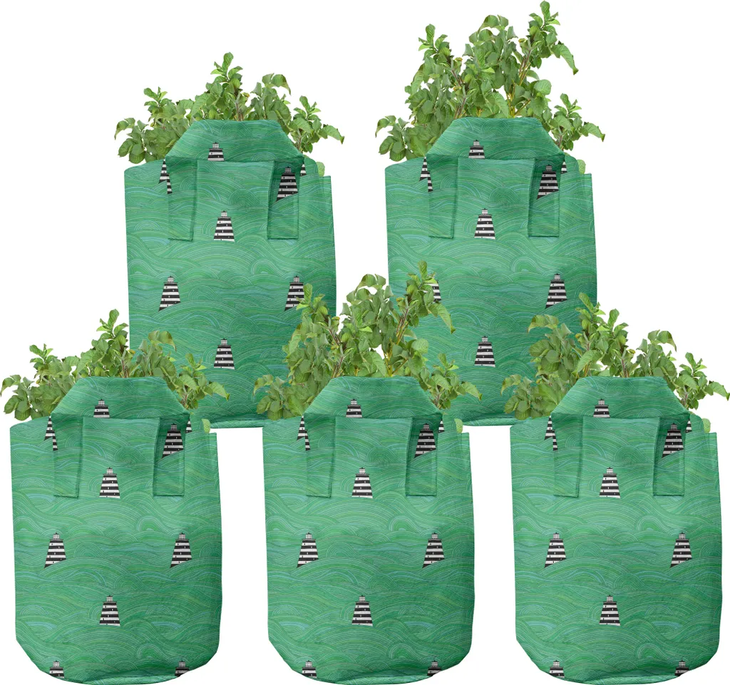 Évitez le chignonage racinaire avec nos pots de culture en tissu 7G