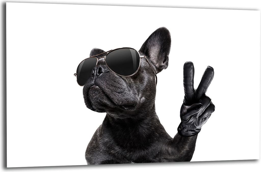 Herdabdeckplatte Glaskeramikkochfeld-Abdeckung Spritzschutz Glas 80x52 Hund