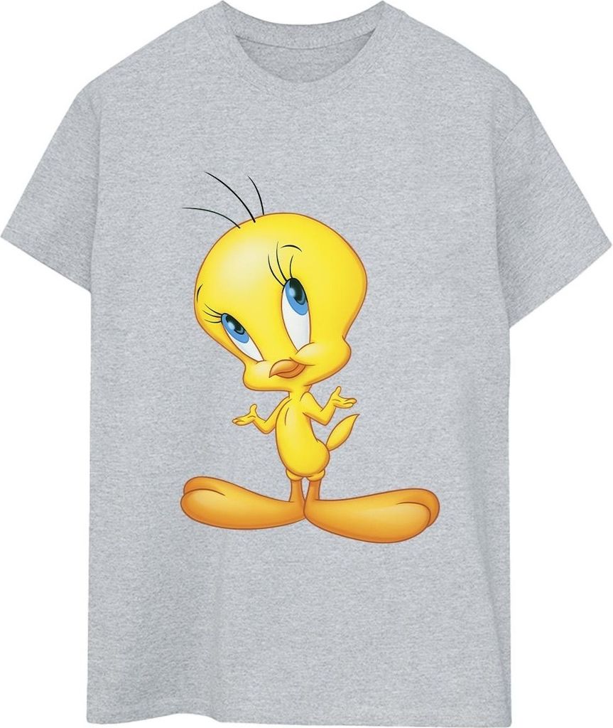 Looney Tunes - T-Shirt für Damen BI33140 (XL) (Grau)