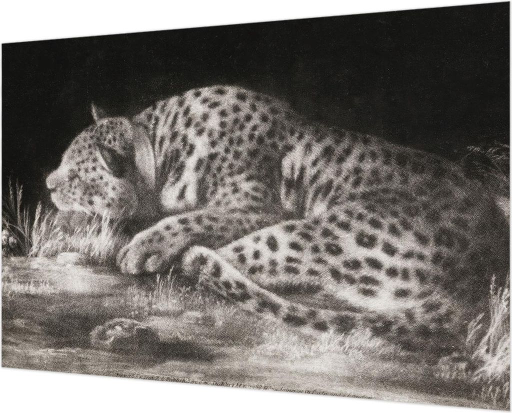 Wandtapete - Dekorative Tapete für Wohnzimmer - Tapetenfolie für Wanddekoration - 152x104 cm - Leopard ruht